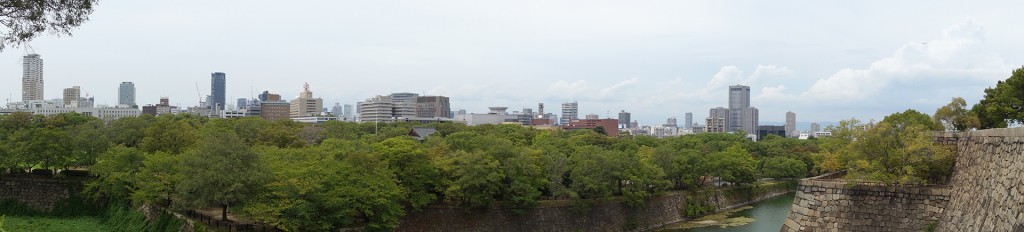 DSC06538 (1920)