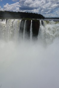 DSC04309 (853x1280)